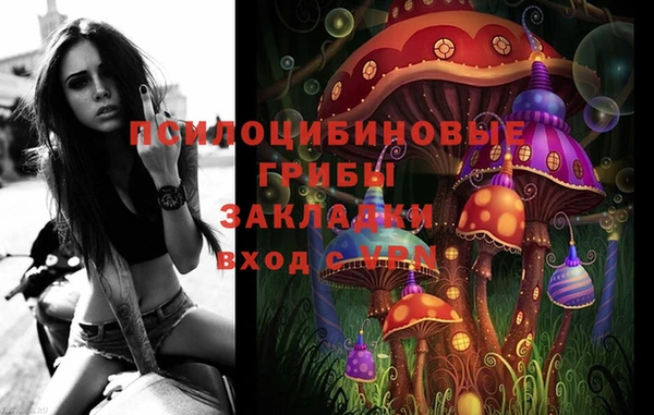 Альфа ПВП Алзамай