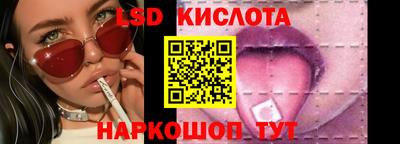 амф Тула