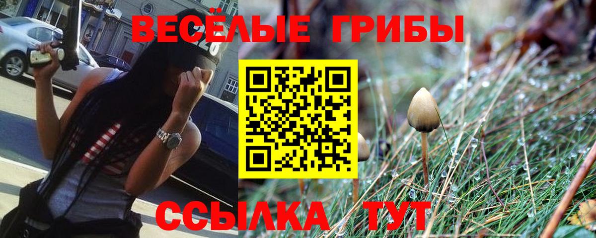 Псилоцибиновые грибы мицелий  Вход с VPN  Нарьян-Мар 